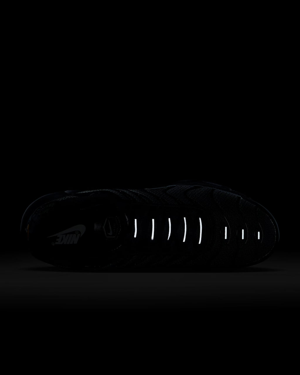 Nike Air Max Plus black sneakers
